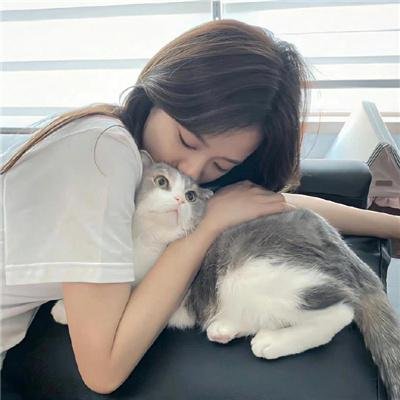 教廷风暴