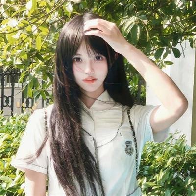 双琴记