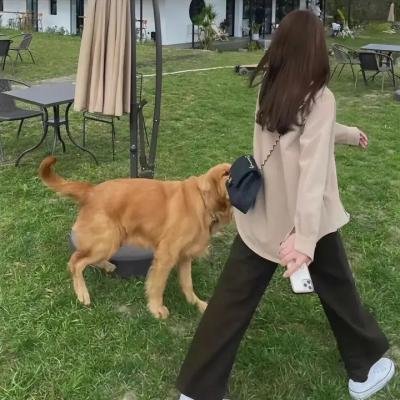 剧作家的灿烂人生